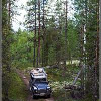Land Rover Defender 110 в лесу