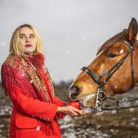 кормление яблоком Фотосессия с лошадьми Калининград