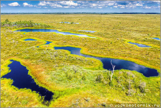 Озера на болоте Целау - аэросъемка