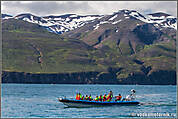 Исландия - выезд на китовое сафари