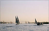Яхтенный флот на реке Нил