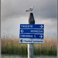 Италия, переход в Венецию. Дорожный водный щит