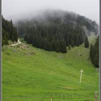 Туманности по горным лесам. Словения гора Голте Golte.