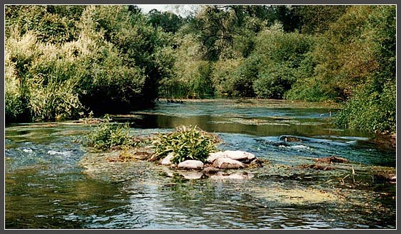 Река ПИССА - камни