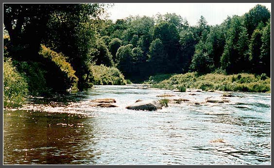 Река ПИССА - русло
