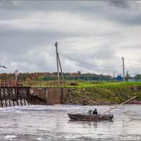 Рыбаки на Сухоне черпают судака