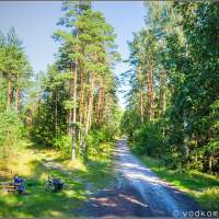 Перекресток лесных дорог по Калининградской Голландии